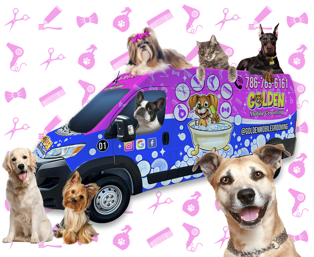 Golden Mobile Grooming Pet grooming